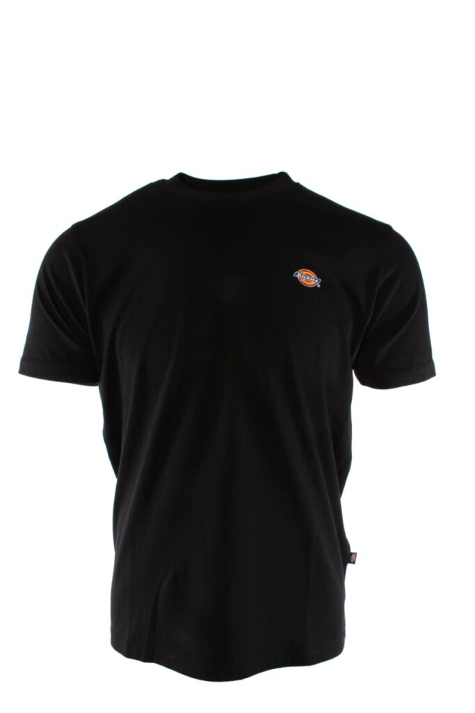 fashiondome.nl-Dickies-T-shirt-dk0a4xdb-0194903388270-1